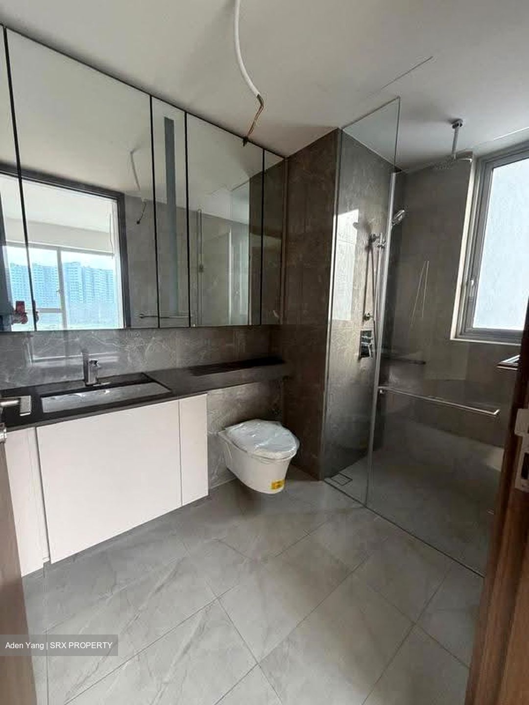 Grand Dunman (D15), Apartment #625321851